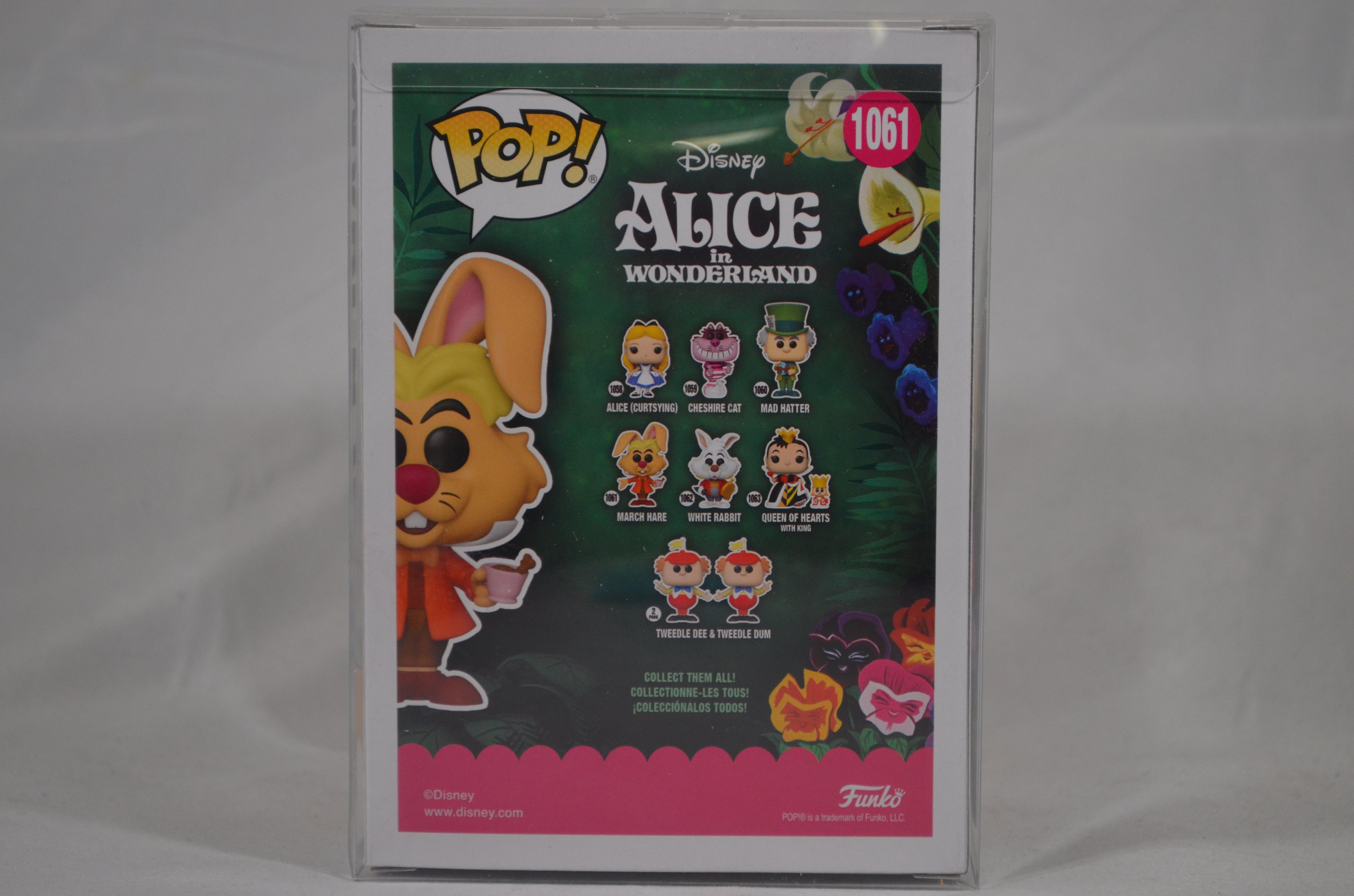 Pop March Hare 1061