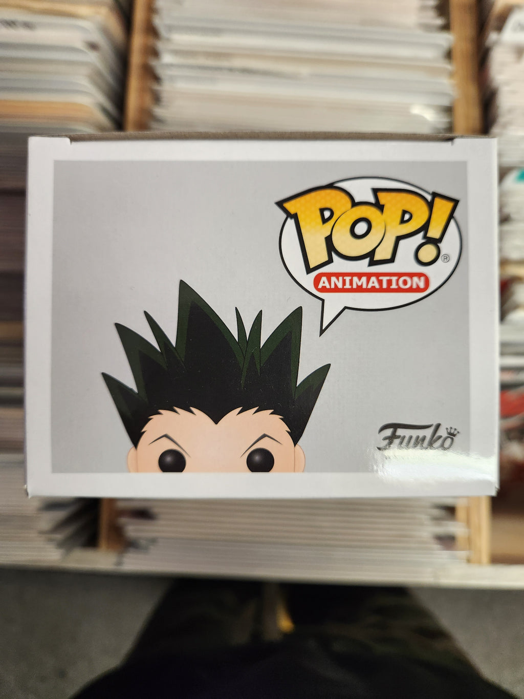 Pop Gon Freecss 651